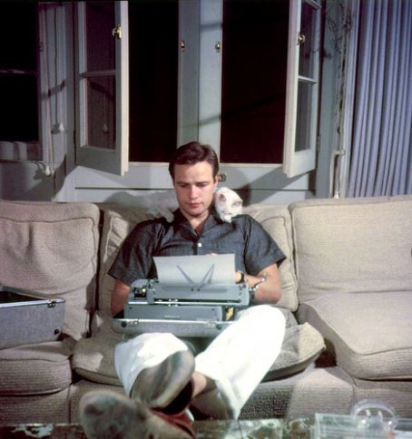 Brando Marlon Chat Bud Où Ai-Je La Tête ?