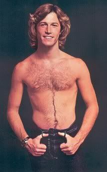 What was Andy Gibb's cause of death?