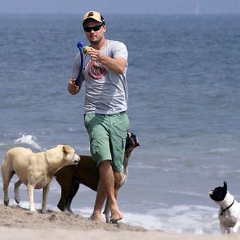 Leonardo DiCaprio is all about Leonardo DiCaprio is all about