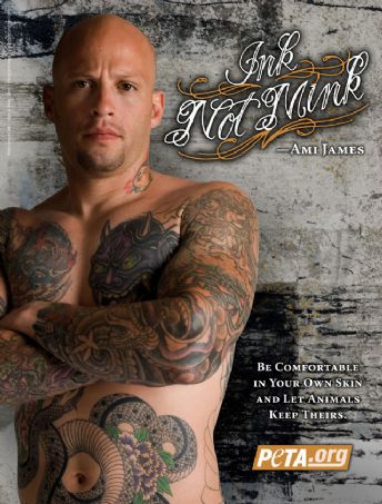 Related Links Ami James Miami Ink 2005 