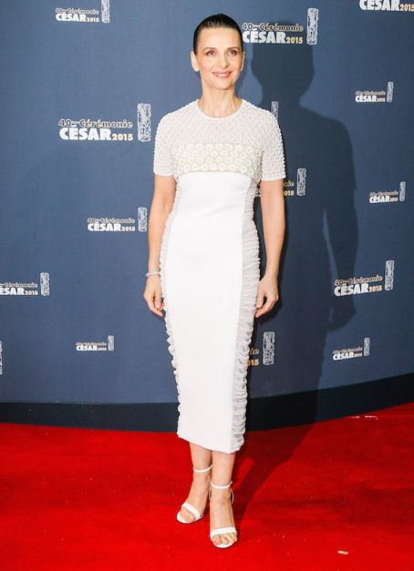 Juliette Binoche Dress