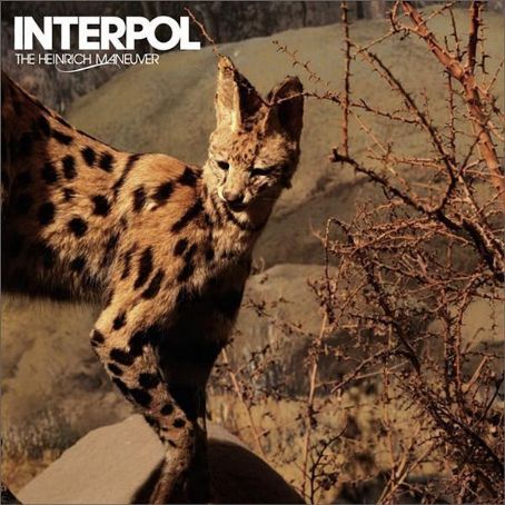 interpol album cover