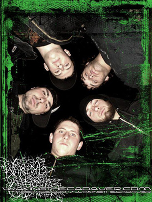 Waking The Cadaver Waking The Cadaver