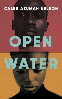 Open Water (novel)