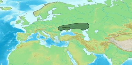 Albanians