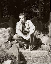 Dmitri Z. Garbuzov