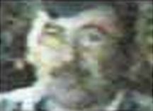 Braulio Arellano Domínguez