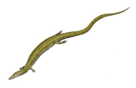 Kaganaias