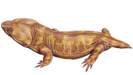 List of Prehistoric amphibian stubs - FamousFix List