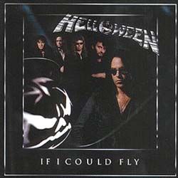 If I Could Fly