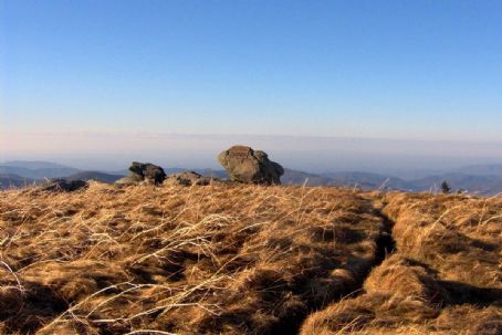 Appalachian balds