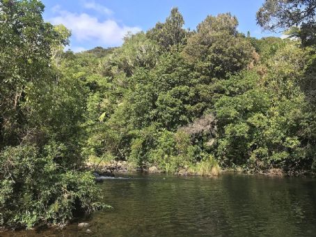 Wainuiomata Regional Park