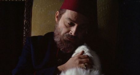 Harem suaré