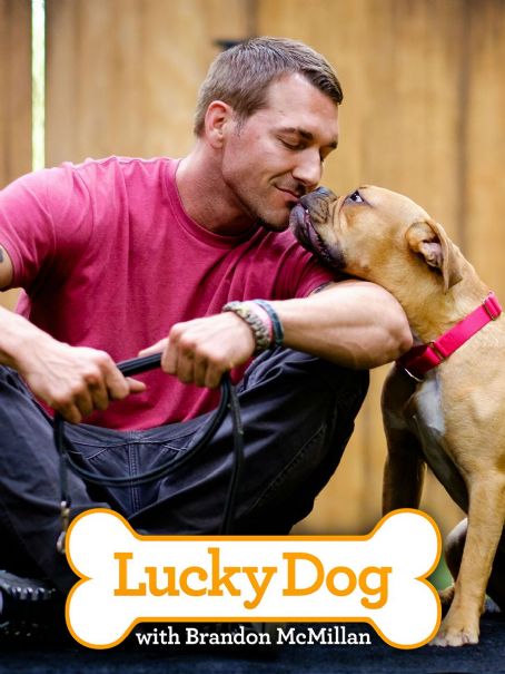 Lucky Dog