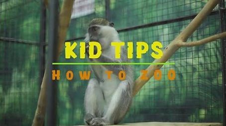 Kid Tips