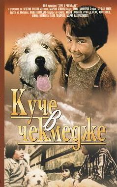 Kuche v chekmedzhe