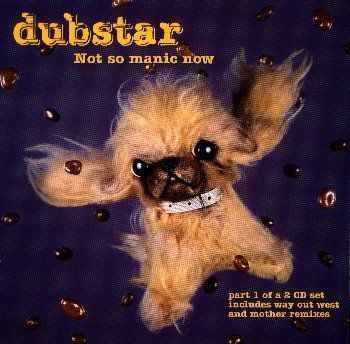 Dubstar Album Cover Photos - List of Dubstar album covers - FamousFix