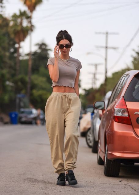 Emily Ratajkowski – Shows Off Her Abs While Out For A Walk In Los ...