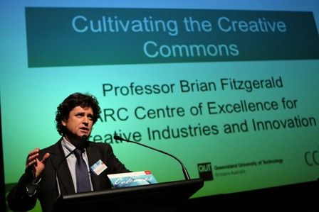 Brian Fitzgerald (academic)