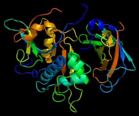 Cathepsin C