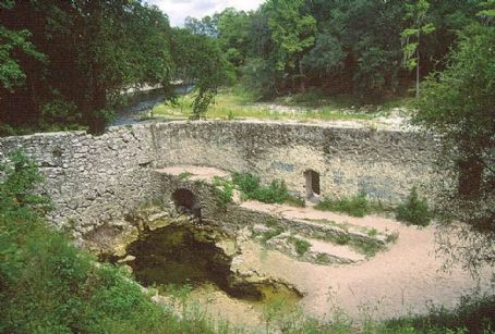 Suwannee Springs