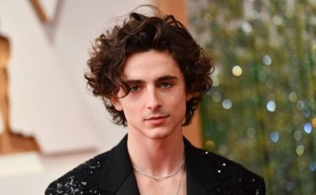Timothee Chalamet - The 94th Annual Academy Awards (2022)
