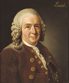 Antoine Laurent de Jussieu