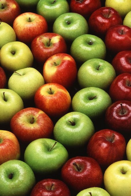 Quba Apple Festival