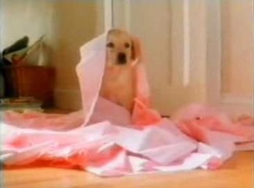 Andrex