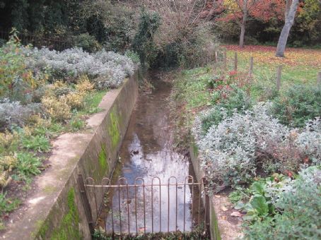 Edgwarebury Brook