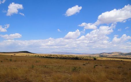 Maasai Mara