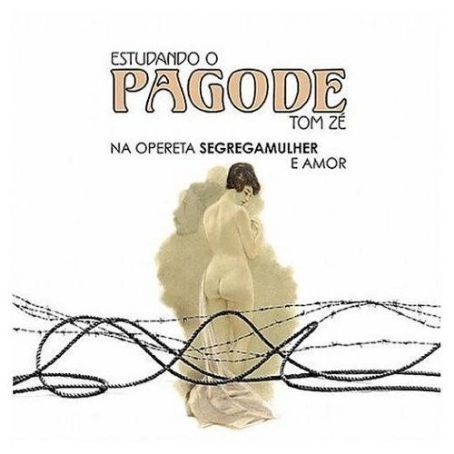 Estudando o Pagode