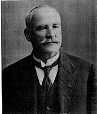 William Hamilton (Australian politician)