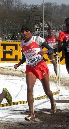Shitaye Eshete