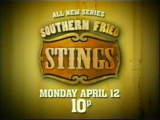 Southern Fried Stings