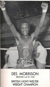 Des Morrison (boxer)