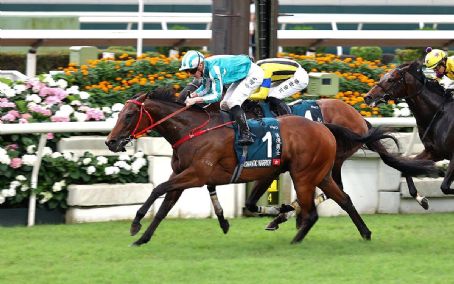 Queen Elizabeth II Cup