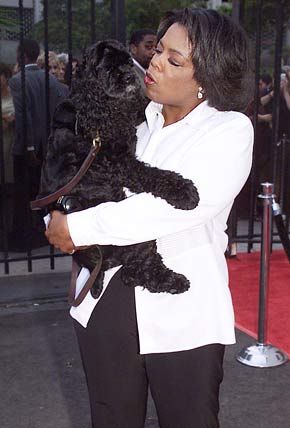 Oprah best sale cocker spaniel