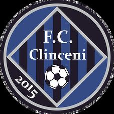 FC Academica Clinceni