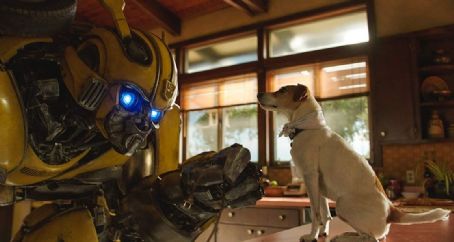 Bumblebee