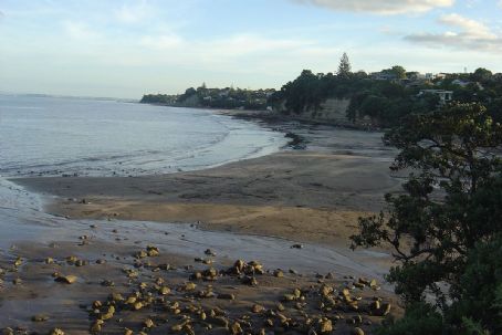 Murrays Bay