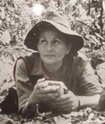 Marianella García Villas
