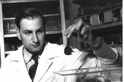 Leo Sachs