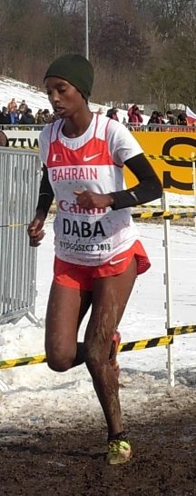 Tejitu Daba