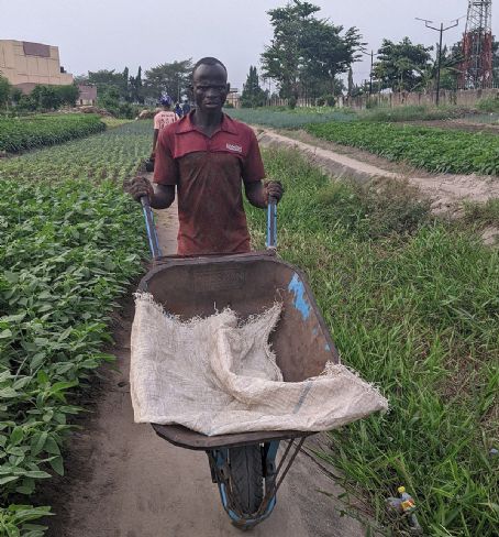 Lagos State Ministry of Agriculture and Cooperatives