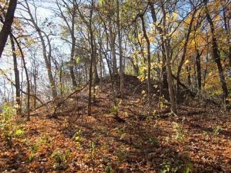 Naples Mound 8
