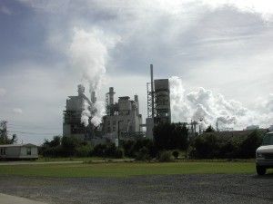 Paper mill