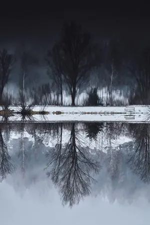 The Darker the Lake