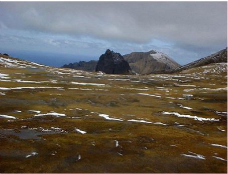 Gough and Inaccessible Islands