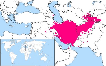 Persian language